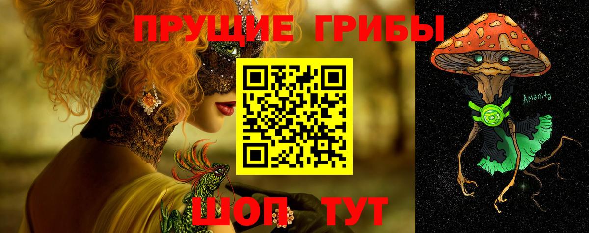 Галлюциногенные грибы Psilocybine cubensis  Вход с VPN  Сертолово  Галлюциногенные грибы Magic Shrooms 