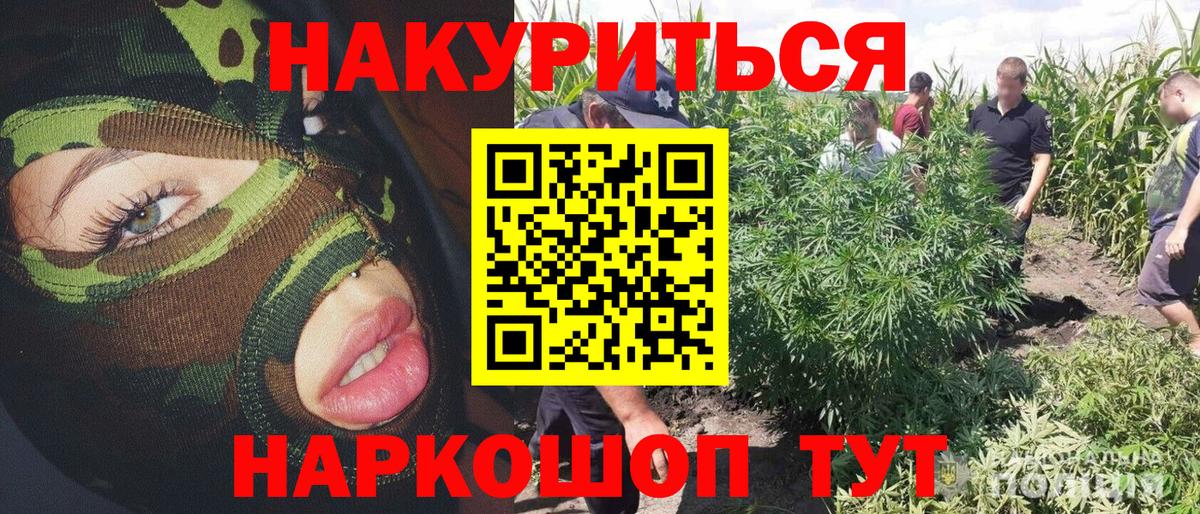 Сертолово  Канабис семена  Конопля семена  Вход с VPN  Каннабис индика  Бошки марихуана THC 21% 